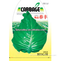 Hybird F1 Bulk OX-Heart Green Kale Seeds Chinese Cabbage Seeds For Growing